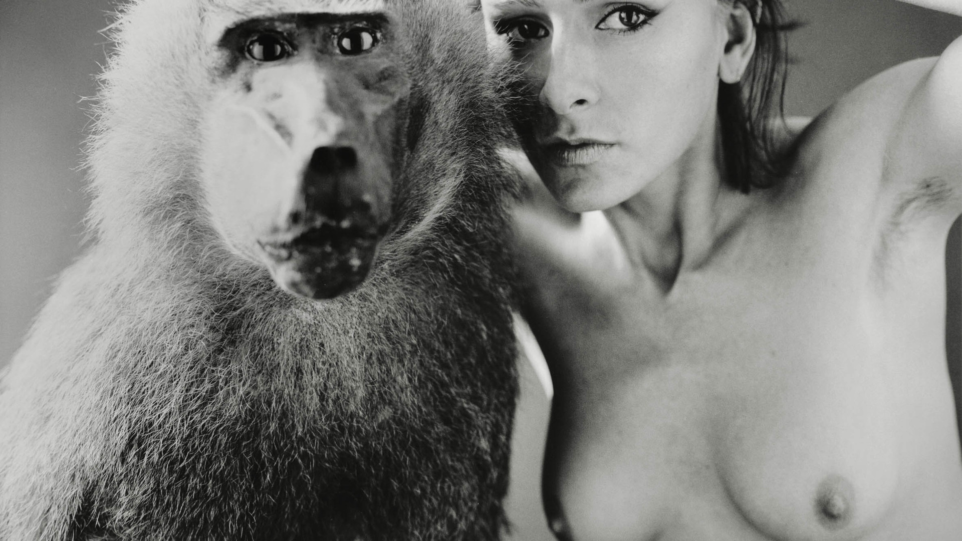 Unverschämte Schönheit: Fotografien aus der Sammlung Michael Horbach